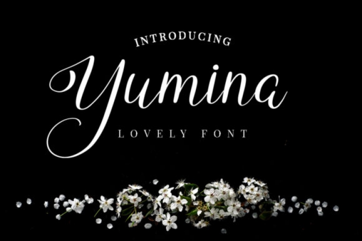 Yumina Font Download