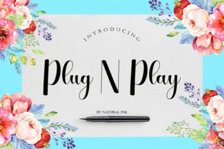 Plug N Play Font Download