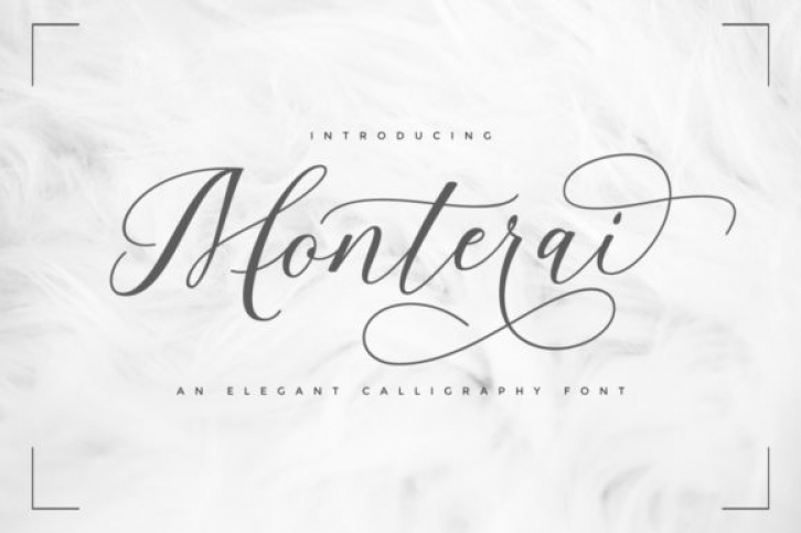 Monterai Font Download