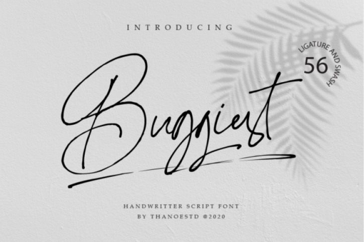 Buggiest Font Download