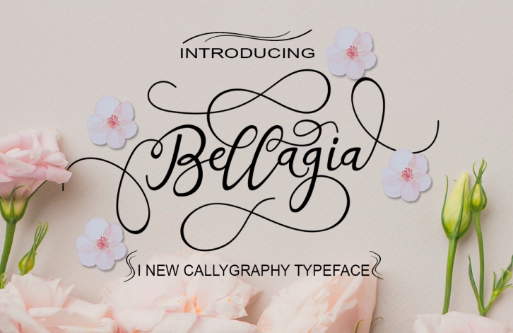 Bellagia Font Download