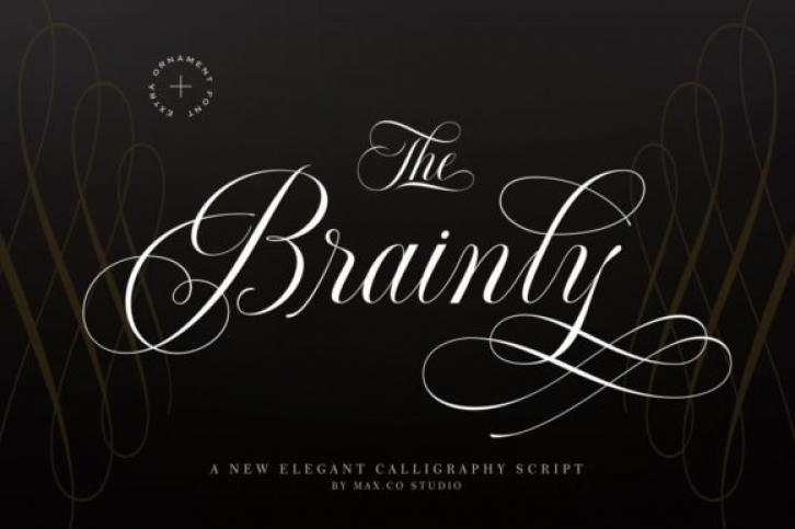 Brainly Font Download