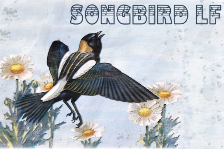Songbird LF Font Download
