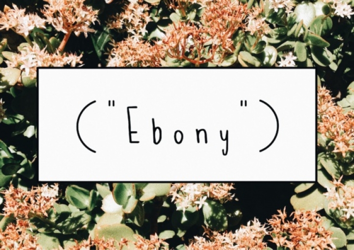 Ebony Font Download