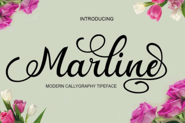 Marline Font Download