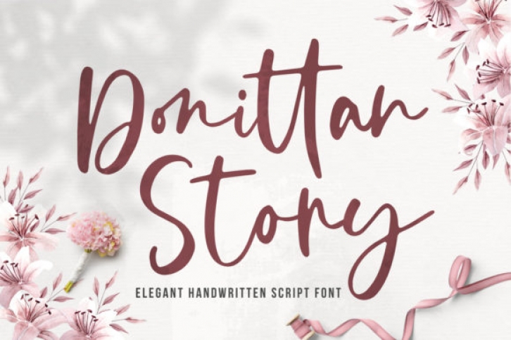 Donittan Story Font Download