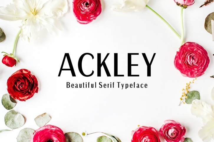 Ackley Font Download