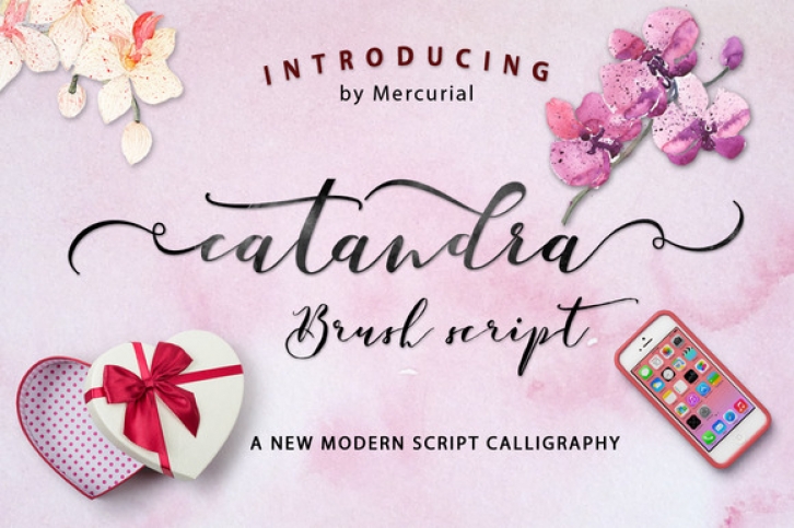 Catandra Script Font Download