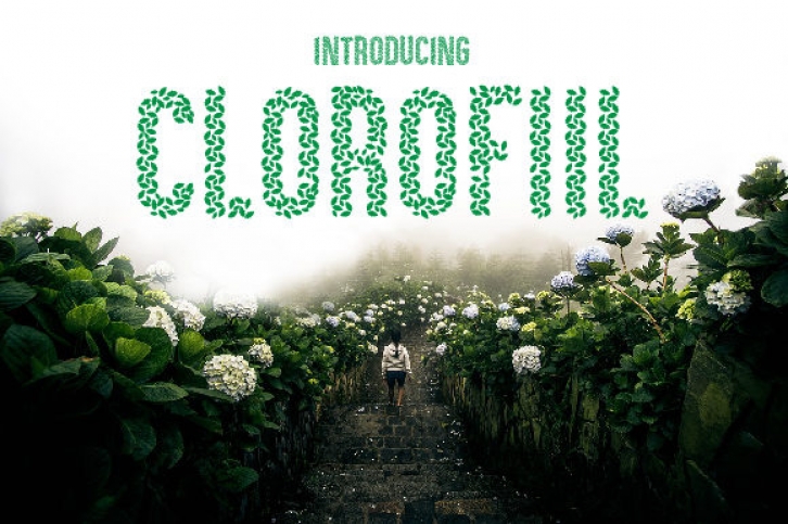 Clorofil Font Download