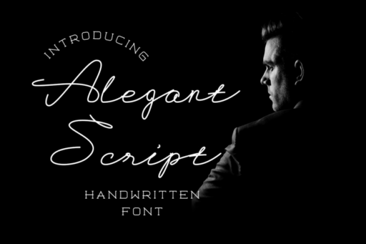 Alegant Script Font Download