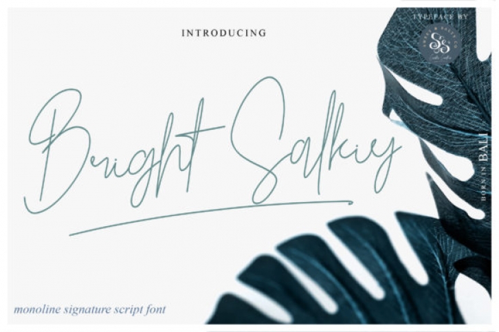 Bright Salkiy Font Download