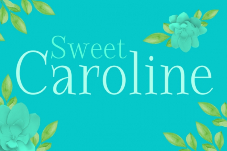 Sweet Caroline Font Download