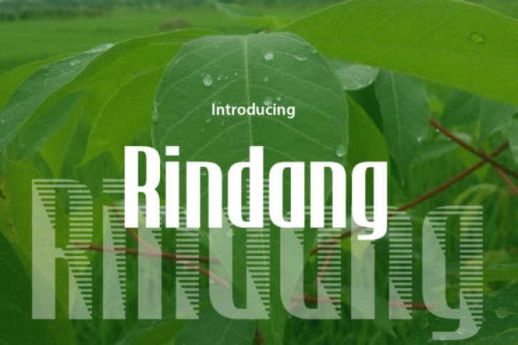 Rindang Font Download