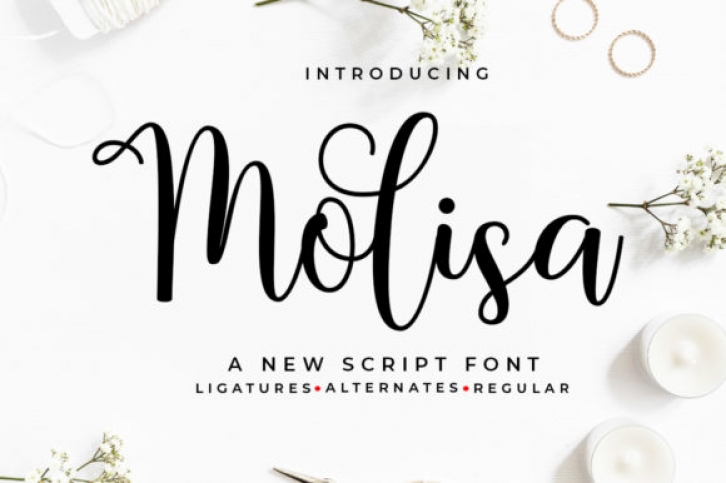 Molisa Font Download