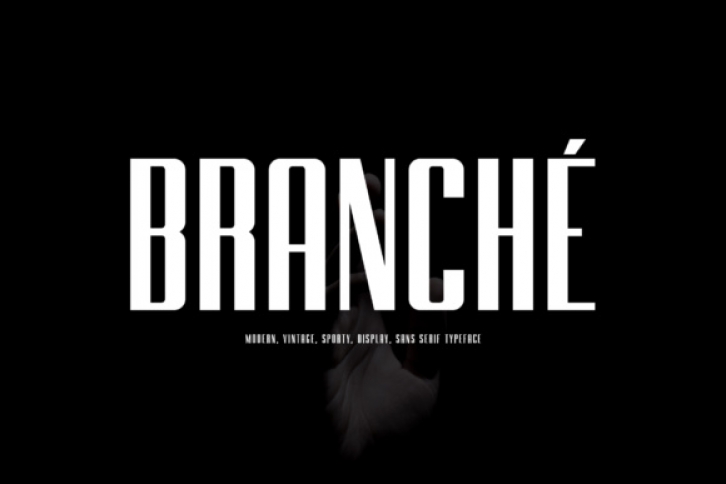 Branche Font Download