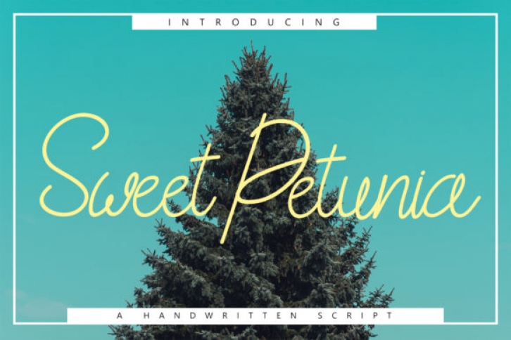 Sweet Petunia Font Download