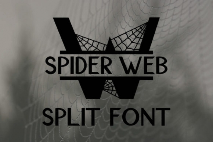 Spider Web Split Font Download