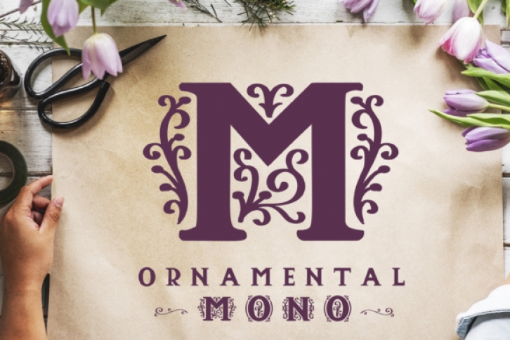 Ornamental Mono Font Download