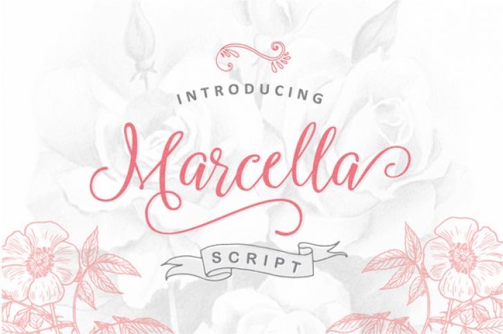 Marcella Font Download