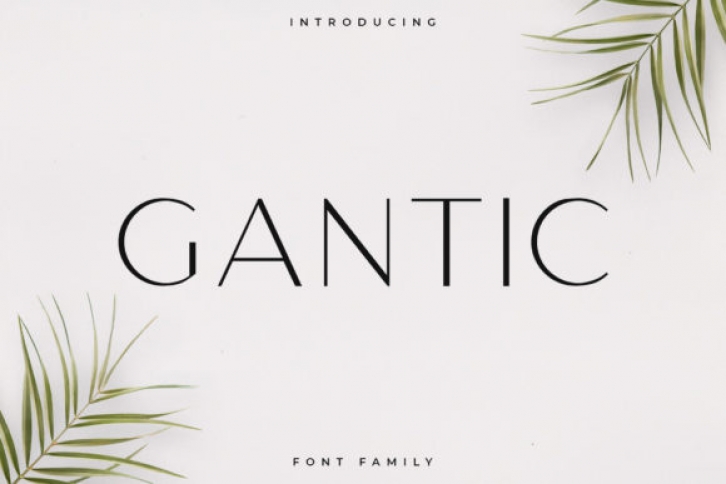 Gantic Font Download
