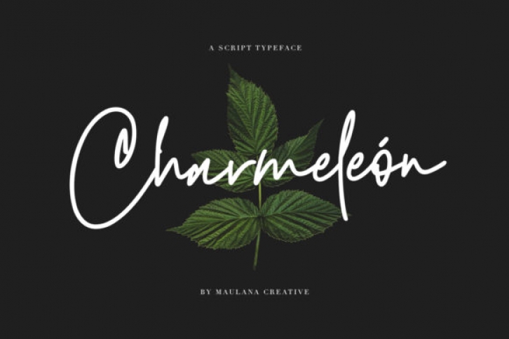 Charmeleon Font Download