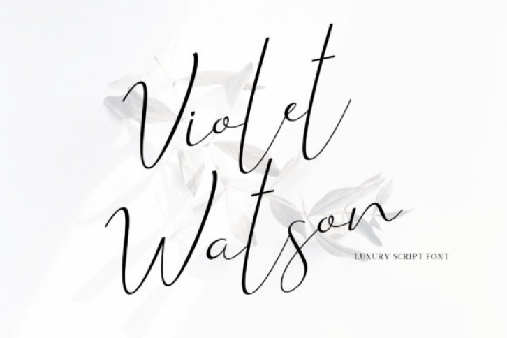 Violet Watson Font Download