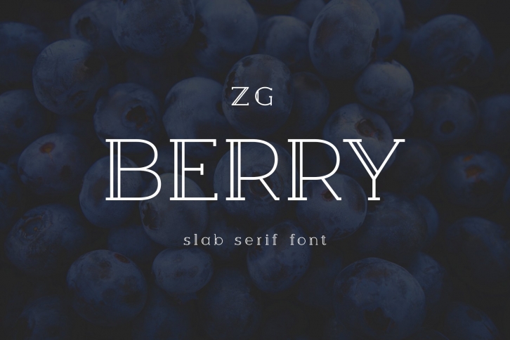 Berry Slab Serif Font Download