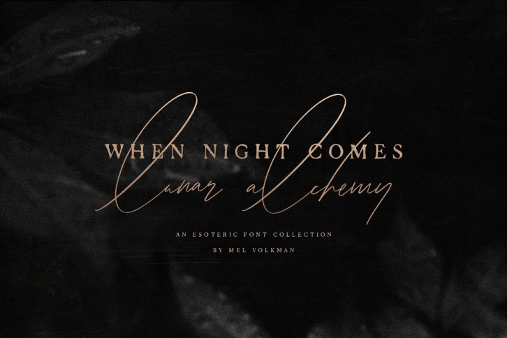 When Night Comes Collection Font Download