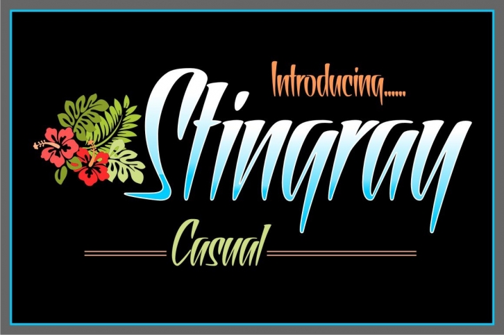 Stingray Casual Font Download
