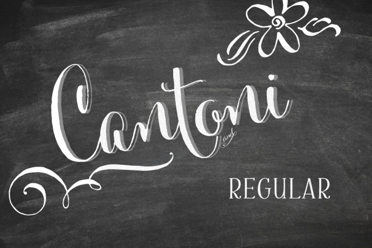 Cantoni Basic Hand Lettered Font Download