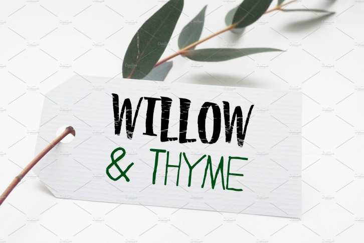 Willow  Thyme with Logo Ornaments Font Download