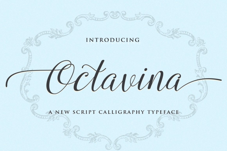 Octavina Script Calligraphy Typeface Font Download