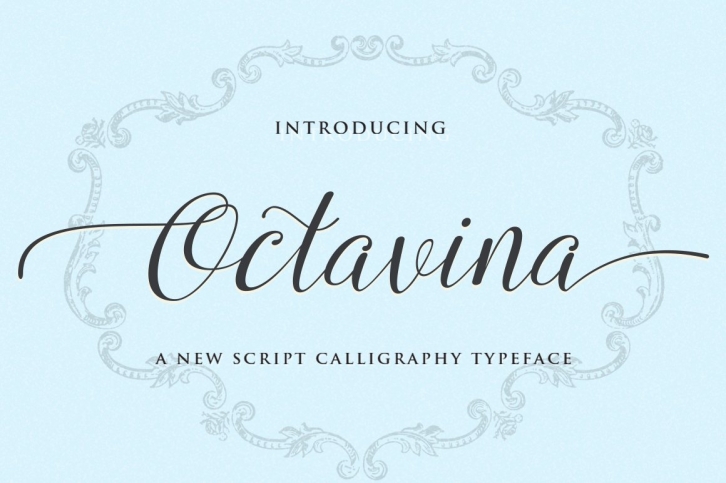 Octavina Script Calligraphy Typeface Font Download