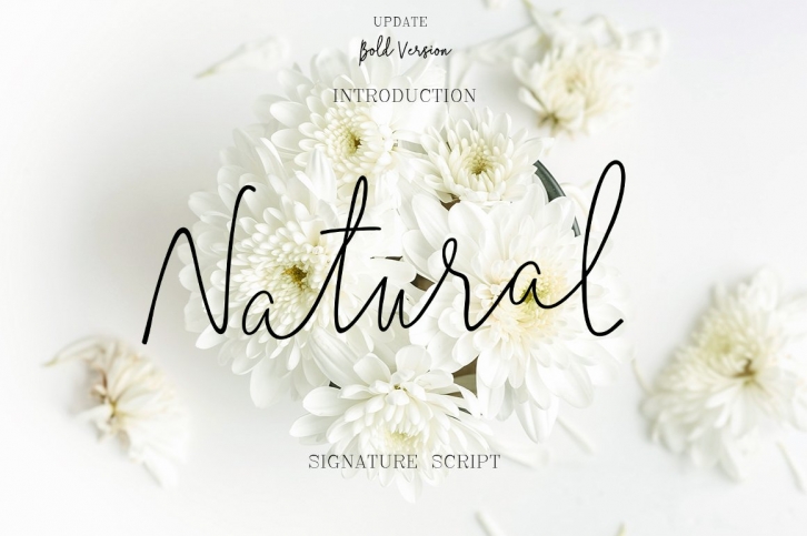 Natural Font Download