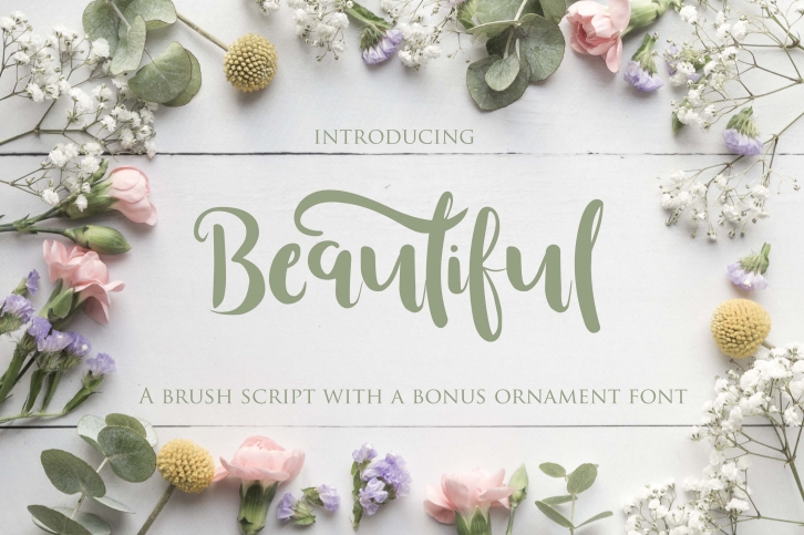 Beautiful Font Download