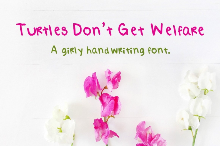 Turtles Don't Get Welfare- a Font Download