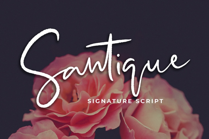 Santique Signature Script Font Download