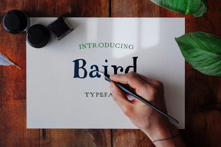 Baird Hand Serif Typeface Font Download