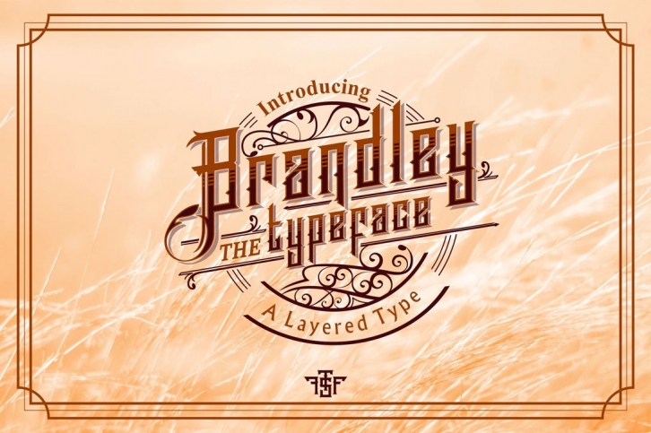 Brandley Typeface Font Download