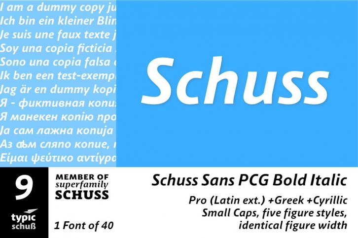 SchussSansPCGBoldIta No.09 (1) Font Download