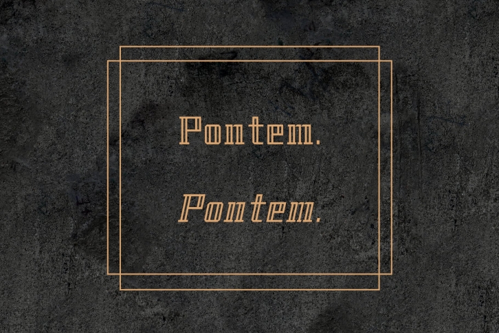 Pontem family-Light*50% off Font Download