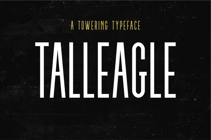 TallEagle Font Download
