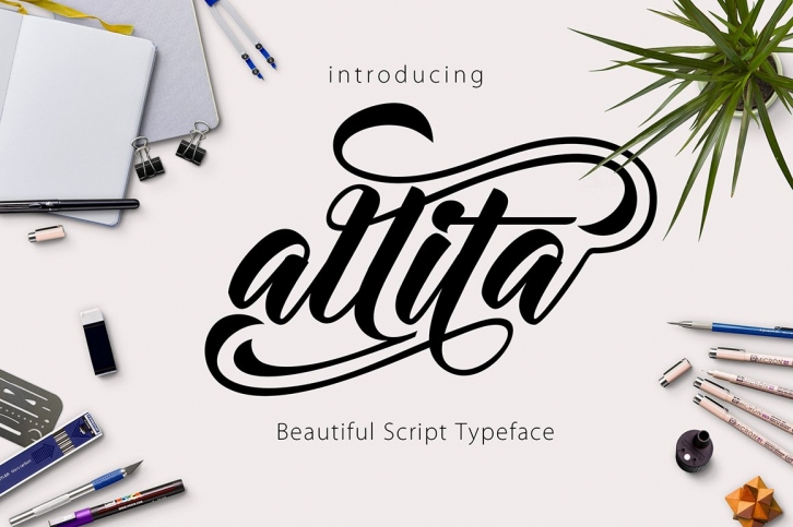 Allita Script Font Download