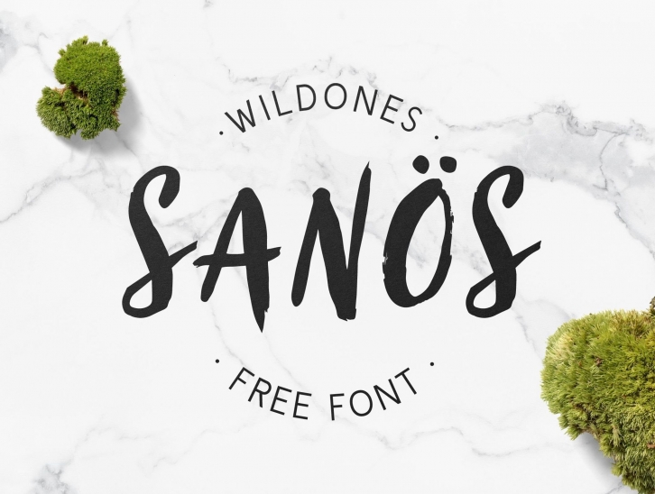 Sanös Brush Script Font Download