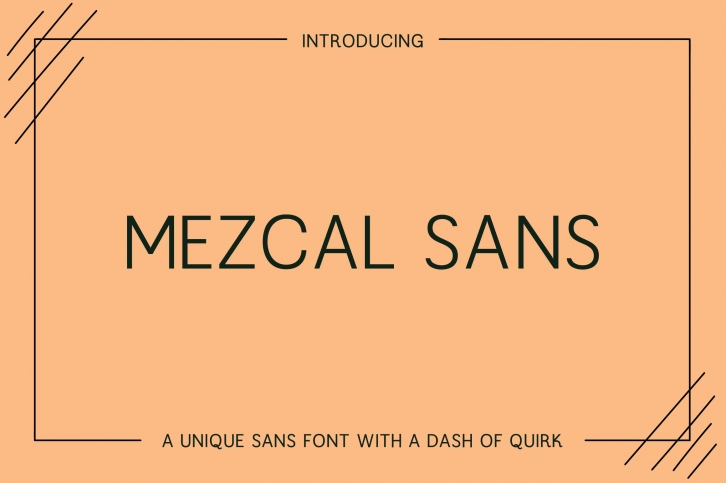 Mezcal Sans — a unique sans typeface Font Download