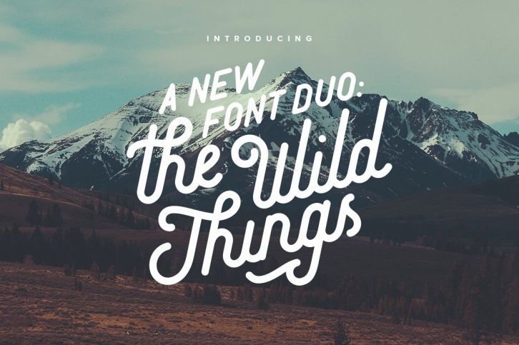 The Wild Things Font Download