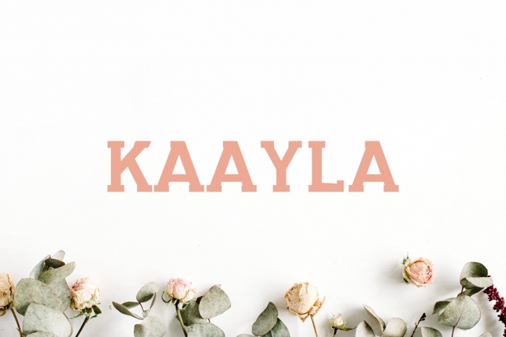 Kaayla Slab Serif Pack Font Download