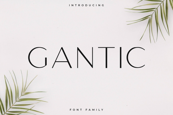 Gantic Family Font Download