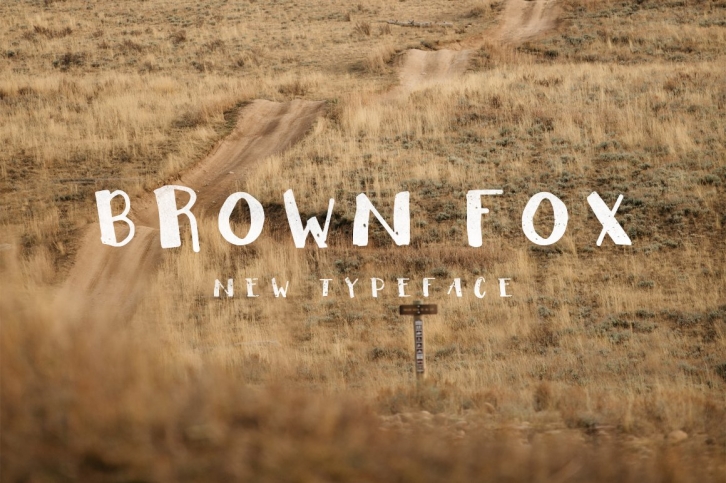 Brown Fox New Typecafe Font Download