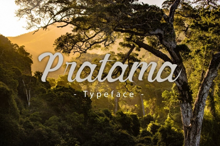 Pratama Typeface Font Download